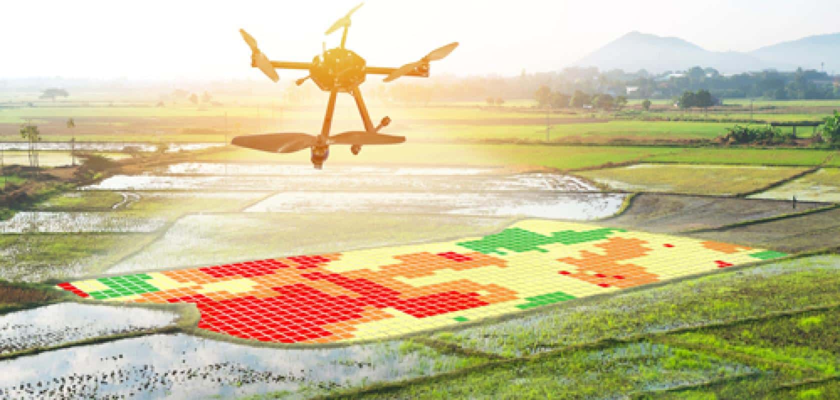 Hyperspectral imaging for agriculture and food inspection