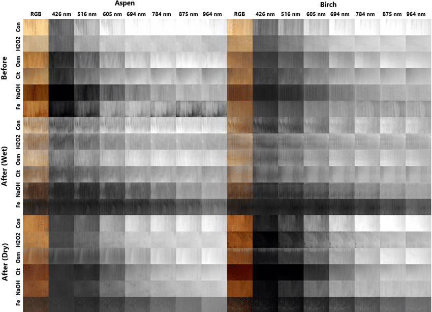 SWIR application image for moisture detection, food inspection, and material sorting